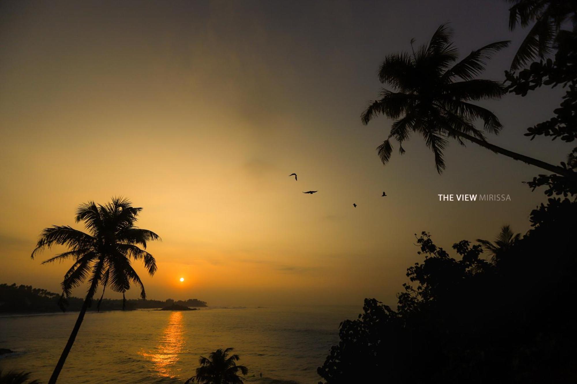 The View Mirissaホステル エクステリア 写真